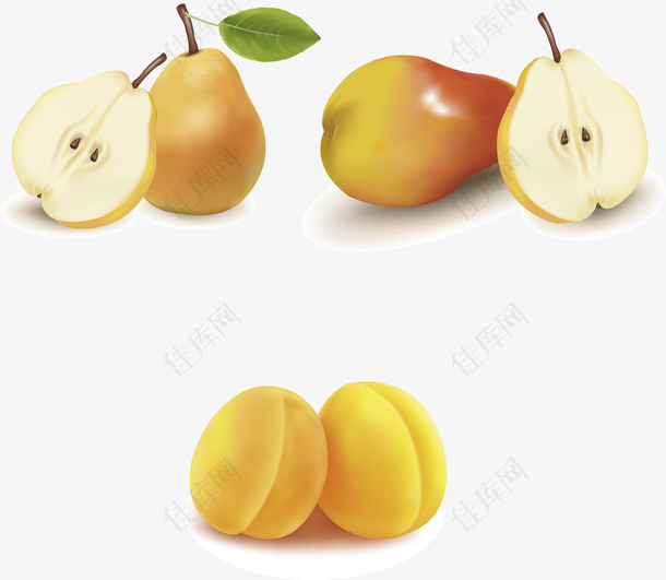 矢量水果梨和桃子