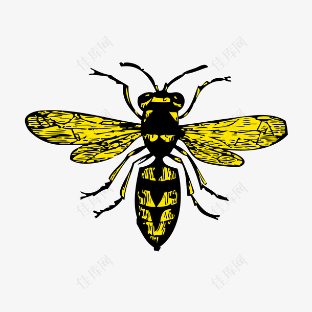 矢量黄黑色蜜蜂
