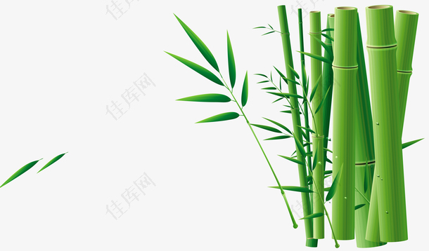 绿色竹子端午节节日元素