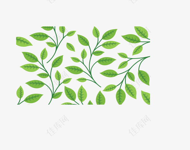 夏季绿色茶叶花纹
