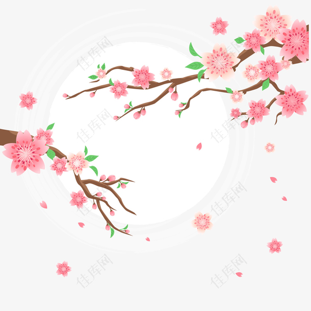 春季绿意粉色桃花盛开