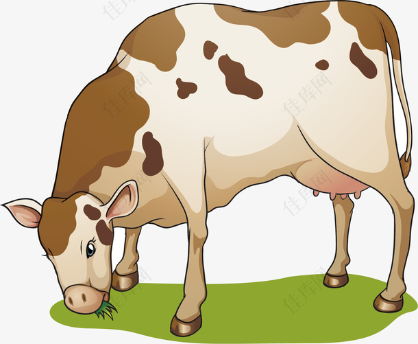 矢量图吃草的小牛