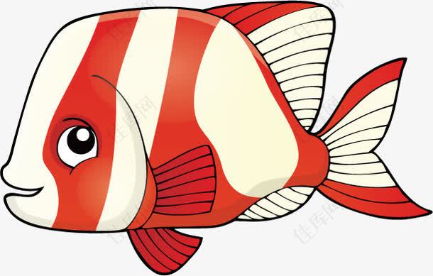 海底世界色彩斑斓的热带鱼