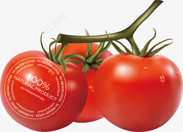 无公害番茄