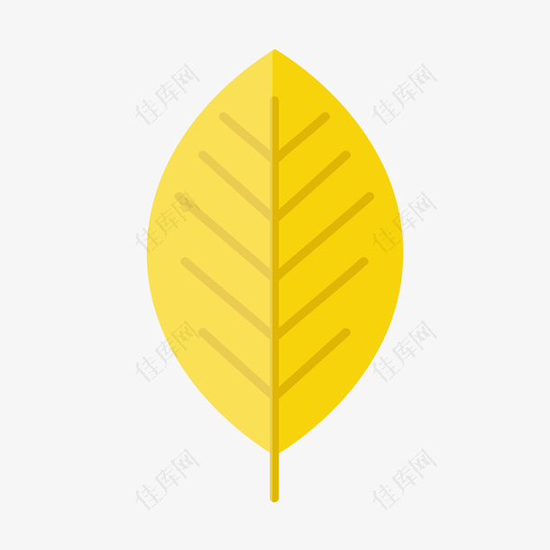 黄色的椭圆树叶