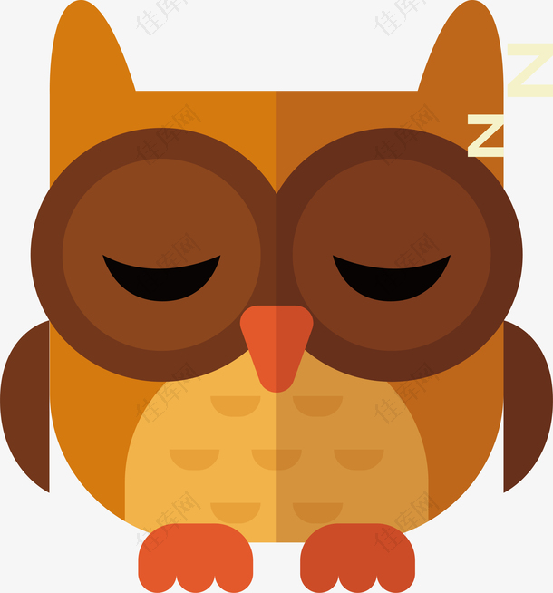 睡着的猫头鹰动物