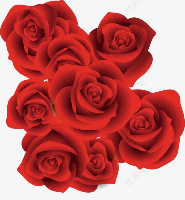 红色玫瑰花海素材