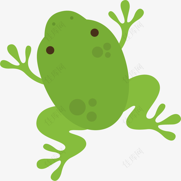 蝌蚪青蛙