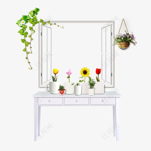 窗台上的花盆