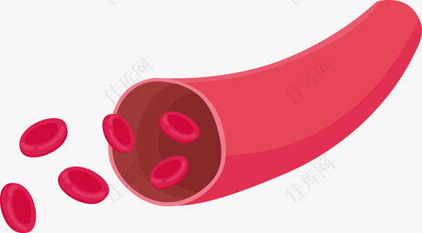 矢量红色血管细胞