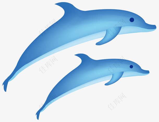两条蓝色的海豚