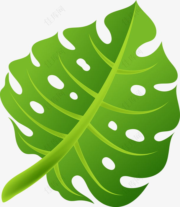 绿色叶子棕榈叶图