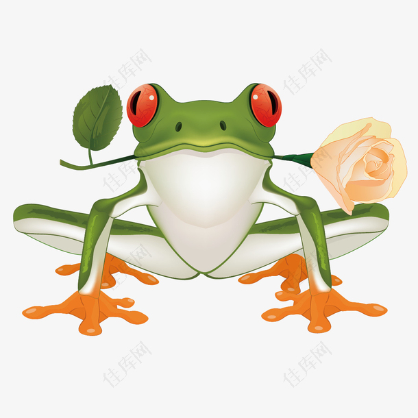 叼玫瑰的青蛙