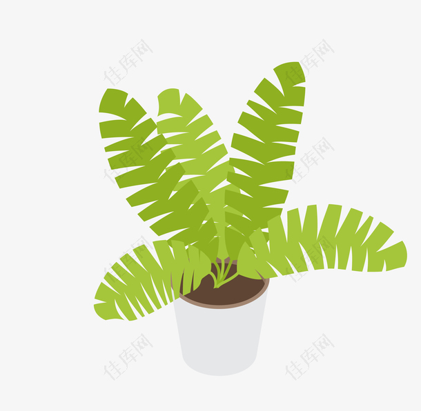 绿色的卡通盆栽植物