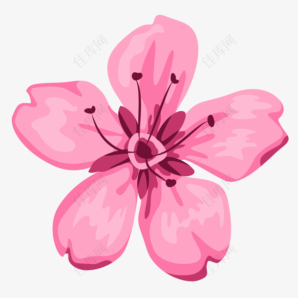 手绘矢量粉色樱桃鲜花