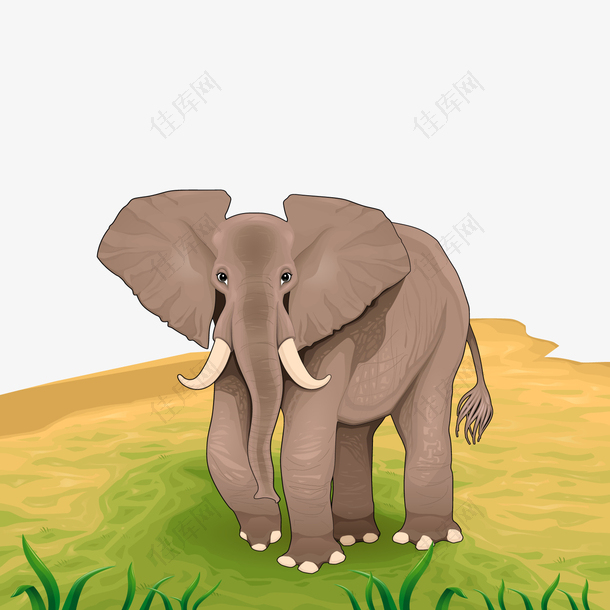 矢量非洲大象