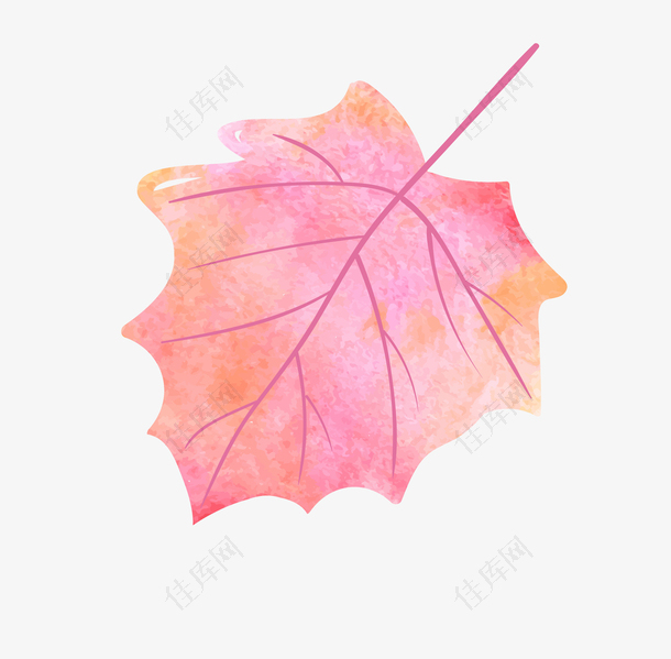 秋季水彩植物枫叶装饰图案