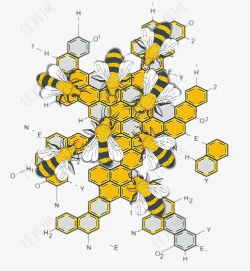 蜜蜂与化学方程式