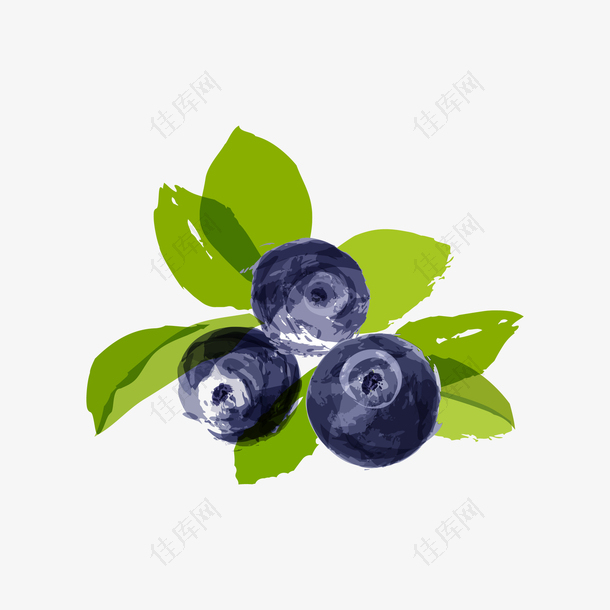 手绘水彩蓝莓免抠素材