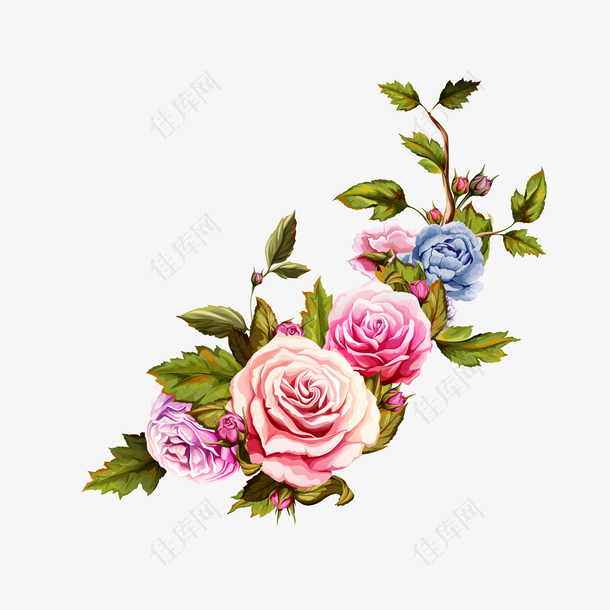 玫瑰花花朵素材图案