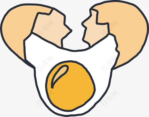 蛋白蛋黄矢量鸡蛋