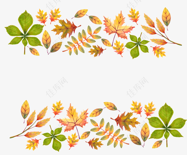 手绘秋季枯黄树叶装饰