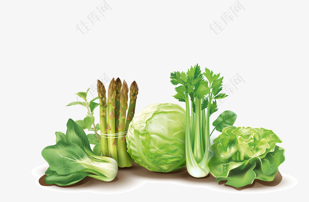 蔬菜插画下载