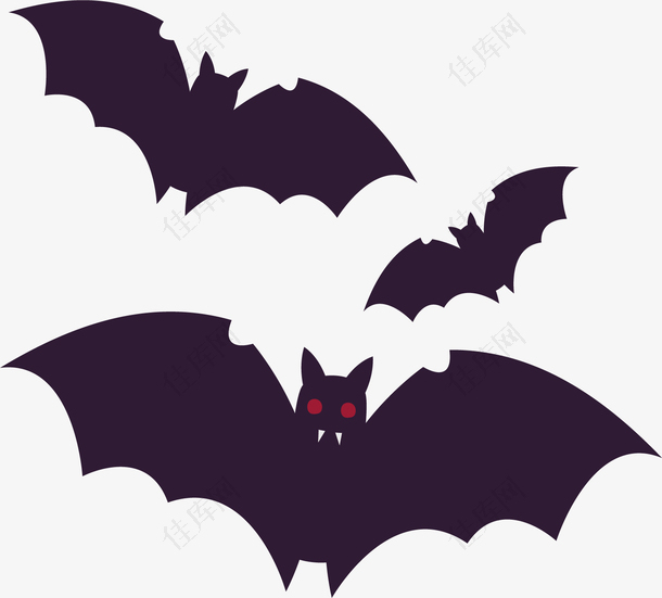 万圣节恐怖的蝙蝠