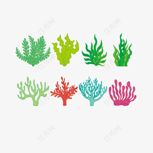 矢量简约珊瑚藻
