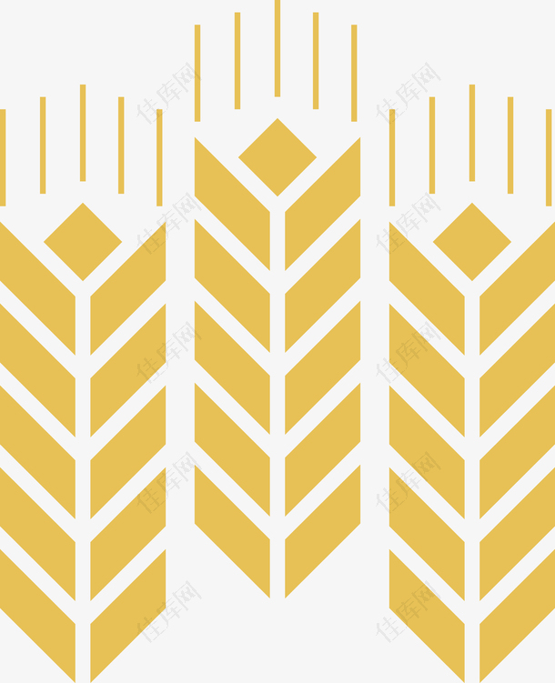 金色燕麦矢量图