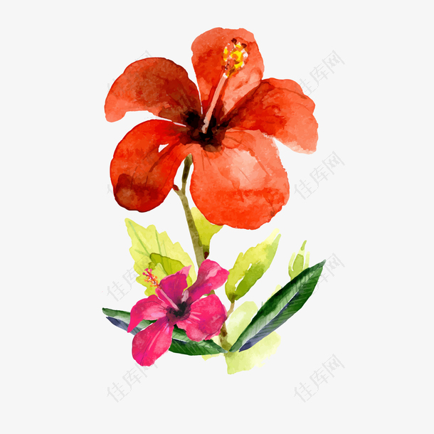 热带花卉设计矢量