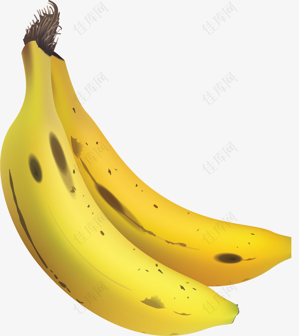美味水果卡通香蕉