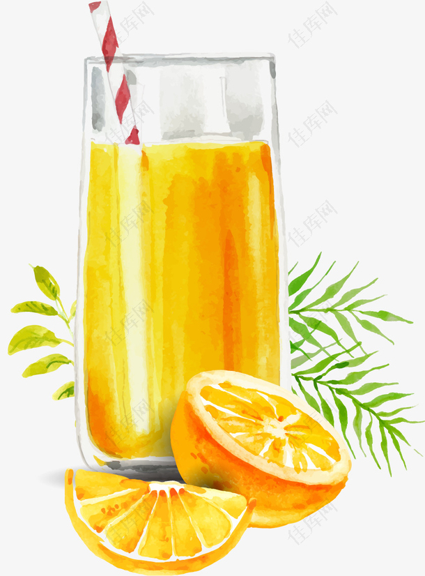 矢量手绘橙汁