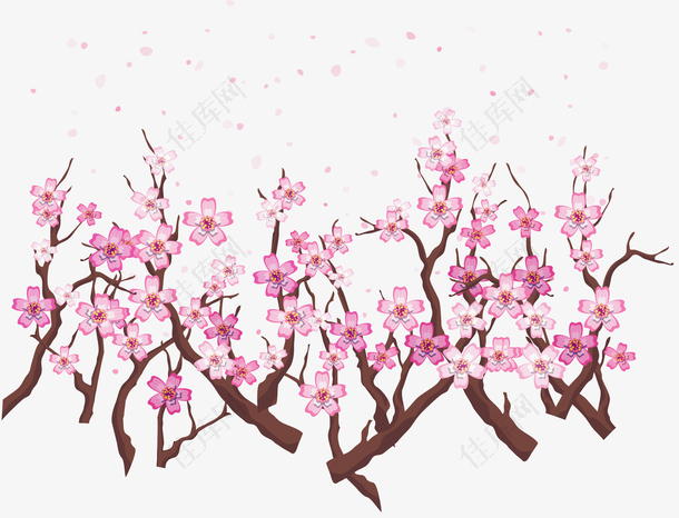 春天飞舞樱花树枝