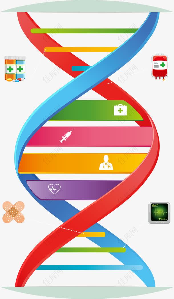 矢量彩色基因分子