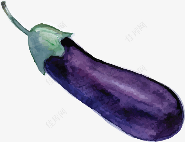 水彩手绘紫色茄子