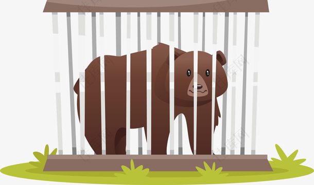 白色的笼子和棕色的熊