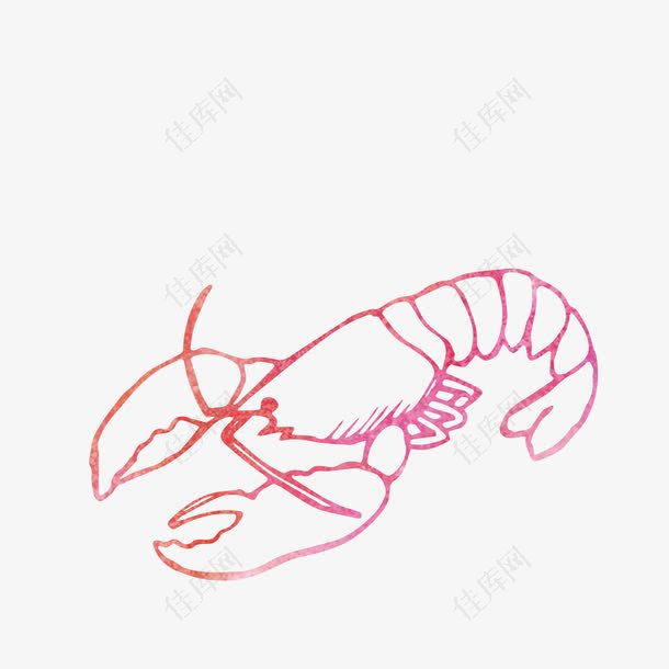 手绘红色小龙虾设计素材