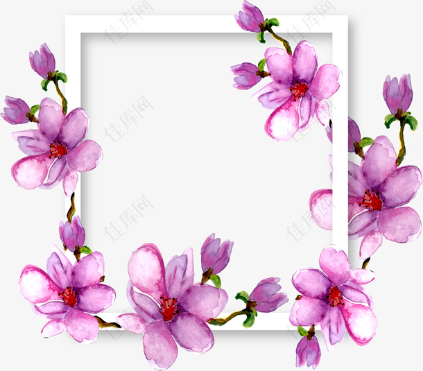 紫色水彩玉兰花