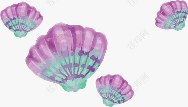 水彩紫色贝壳