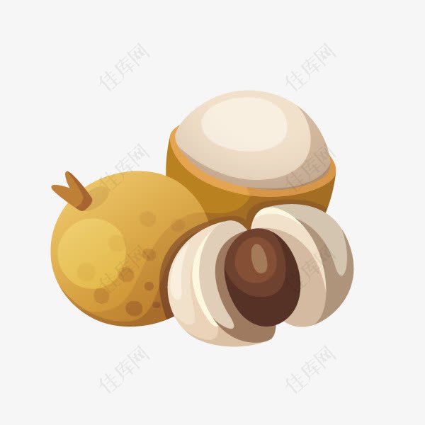 水果椰子