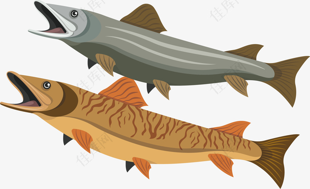 手绘卡通海洋三文鱼设计素材
