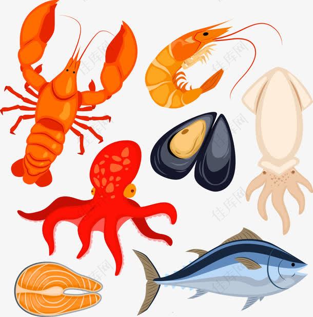 7款海洋生物与食物