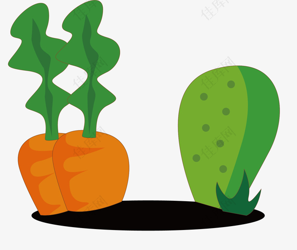 在土地里茁壮成长的胡萝卜