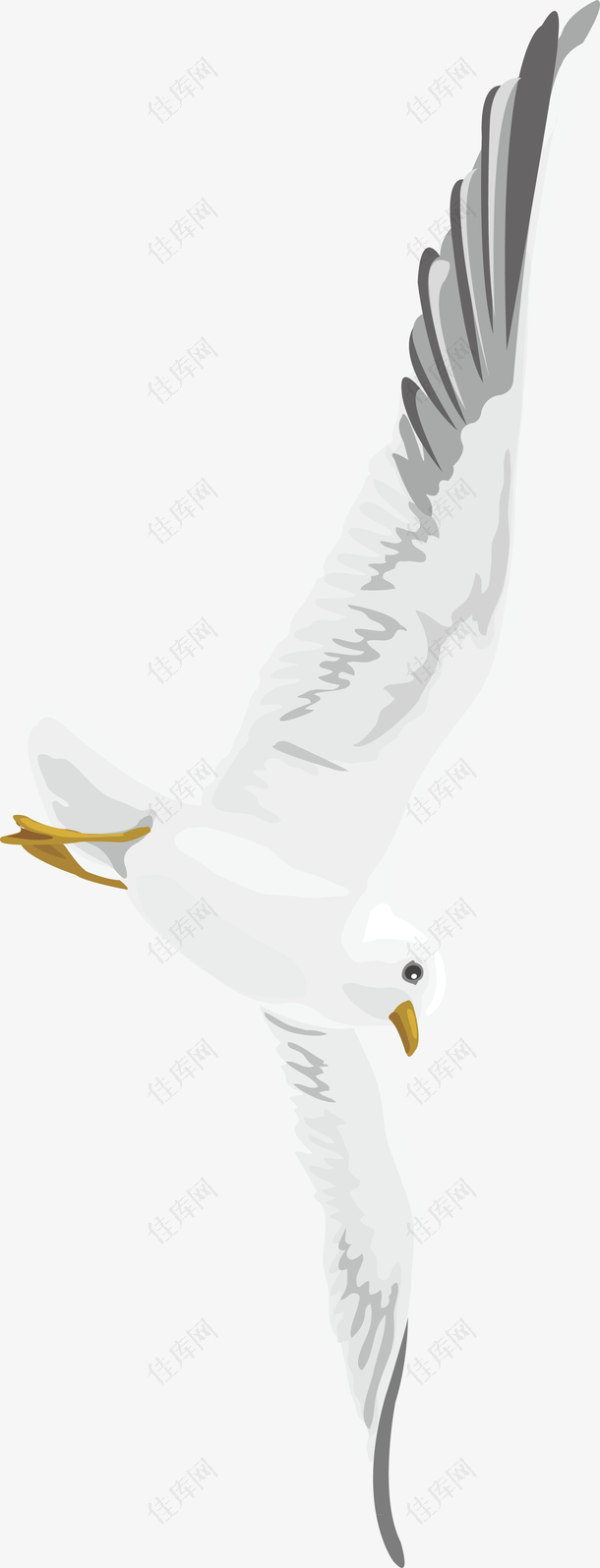 海鸥白色精致图案