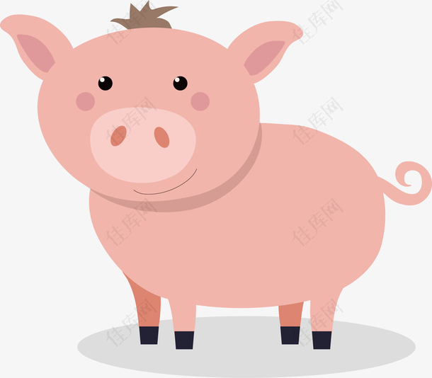 矢量图粉红色小猪