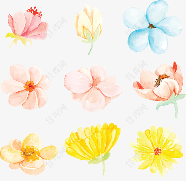 五彩水彩手绘花朵