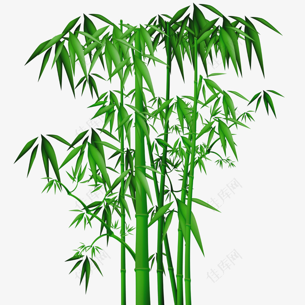 装饰中国竹子