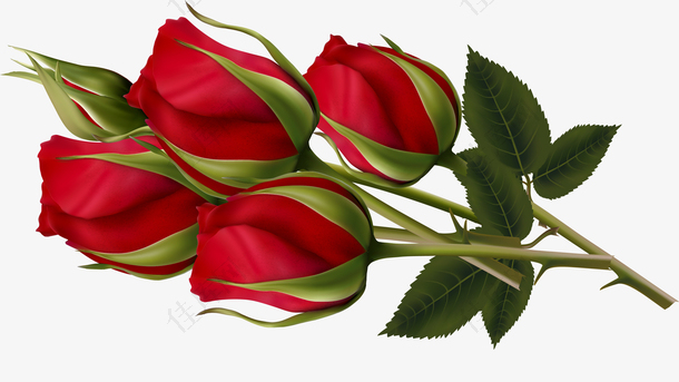 红色浪漫玫瑰花花束