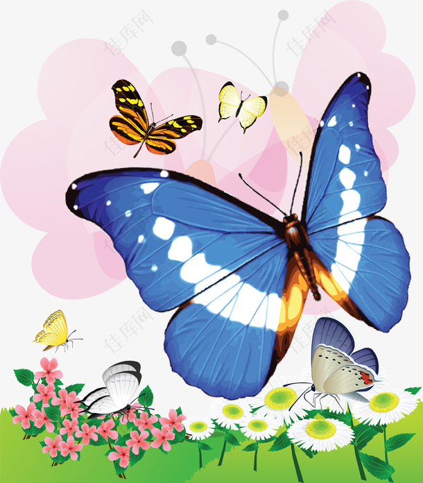 飞舞在花朵上的蓝色蝴蝶矢量素材